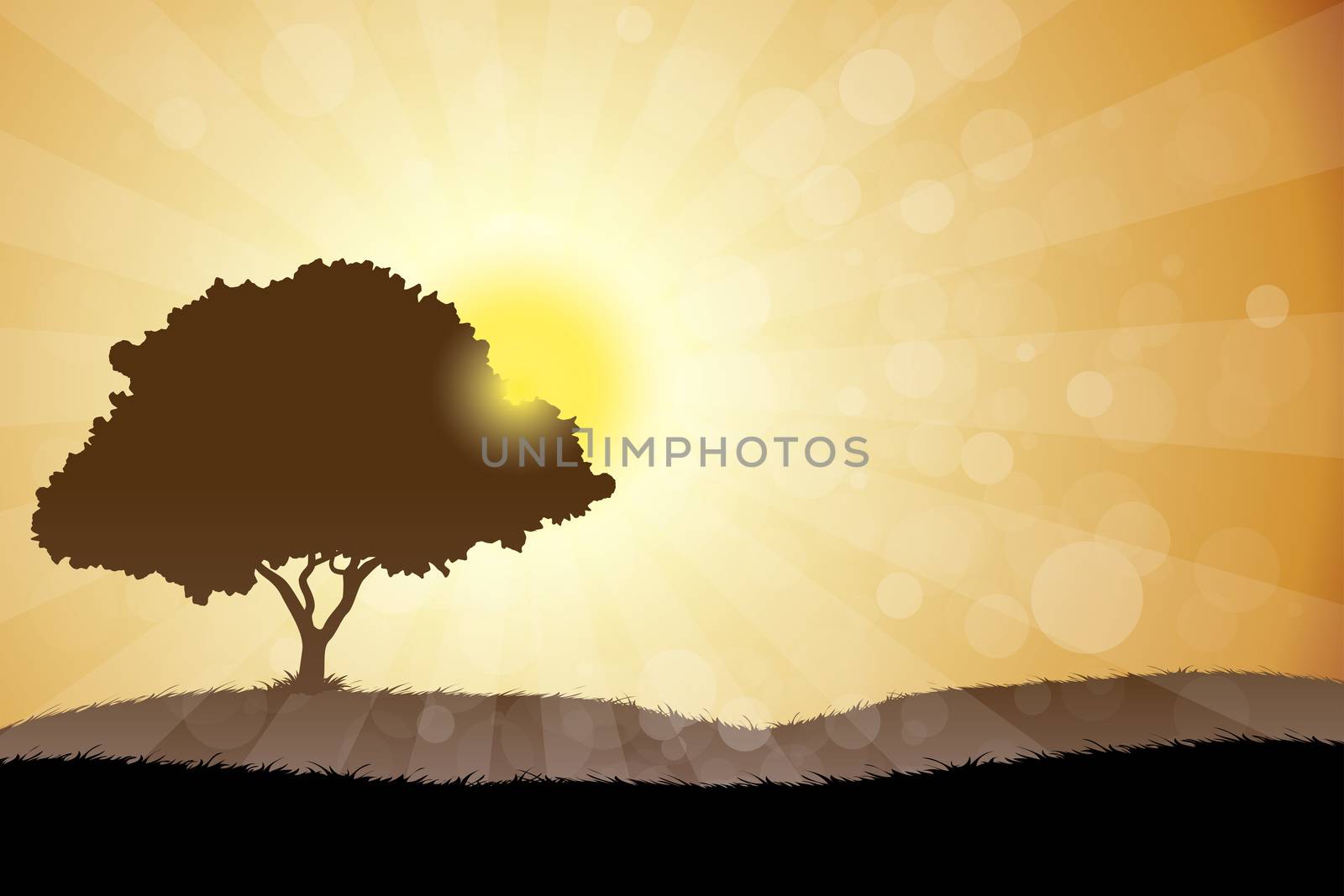 Amazing Landscape with Grass, Sun and Tree
