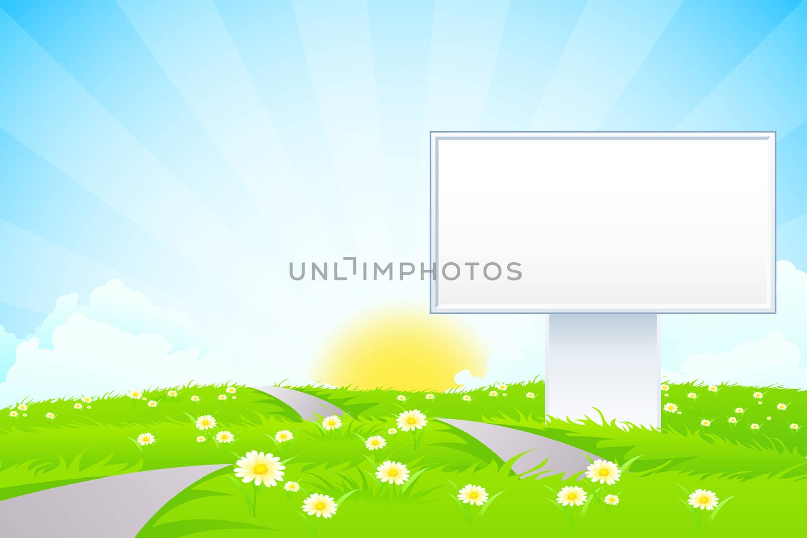 Empty Billboard in the Green Grass with Flowers and Road