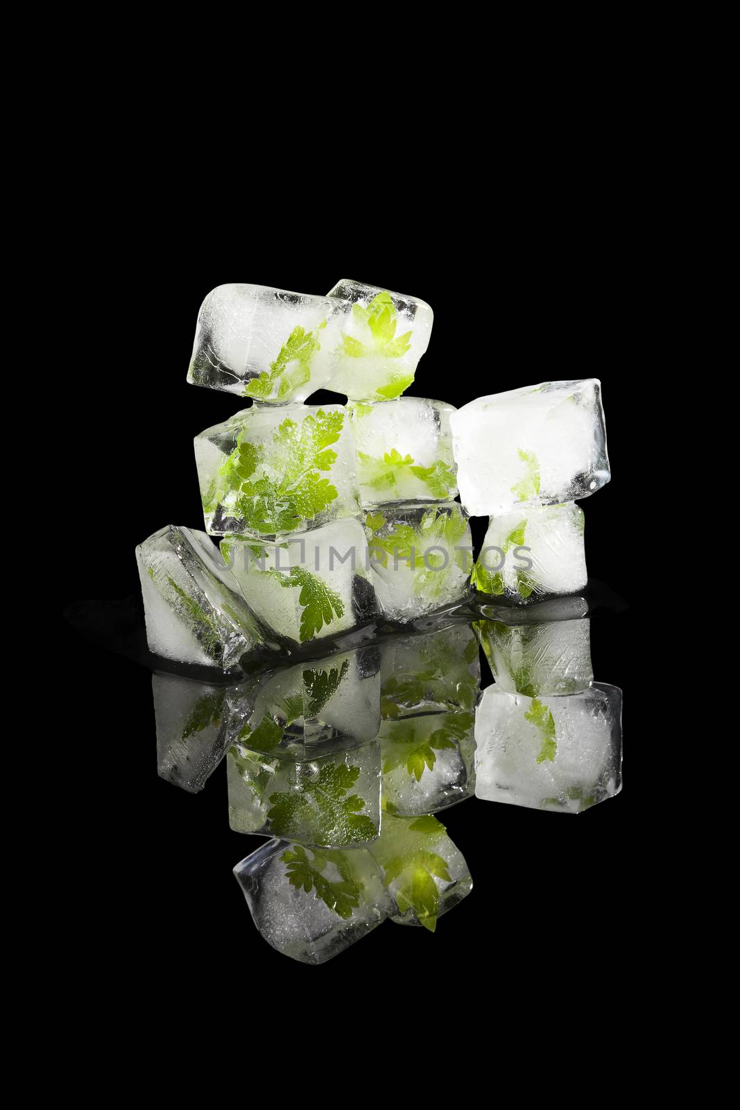 Fresh parsley leaves frozen in ice cubes isolated on black background. Culinary frozen herbs.