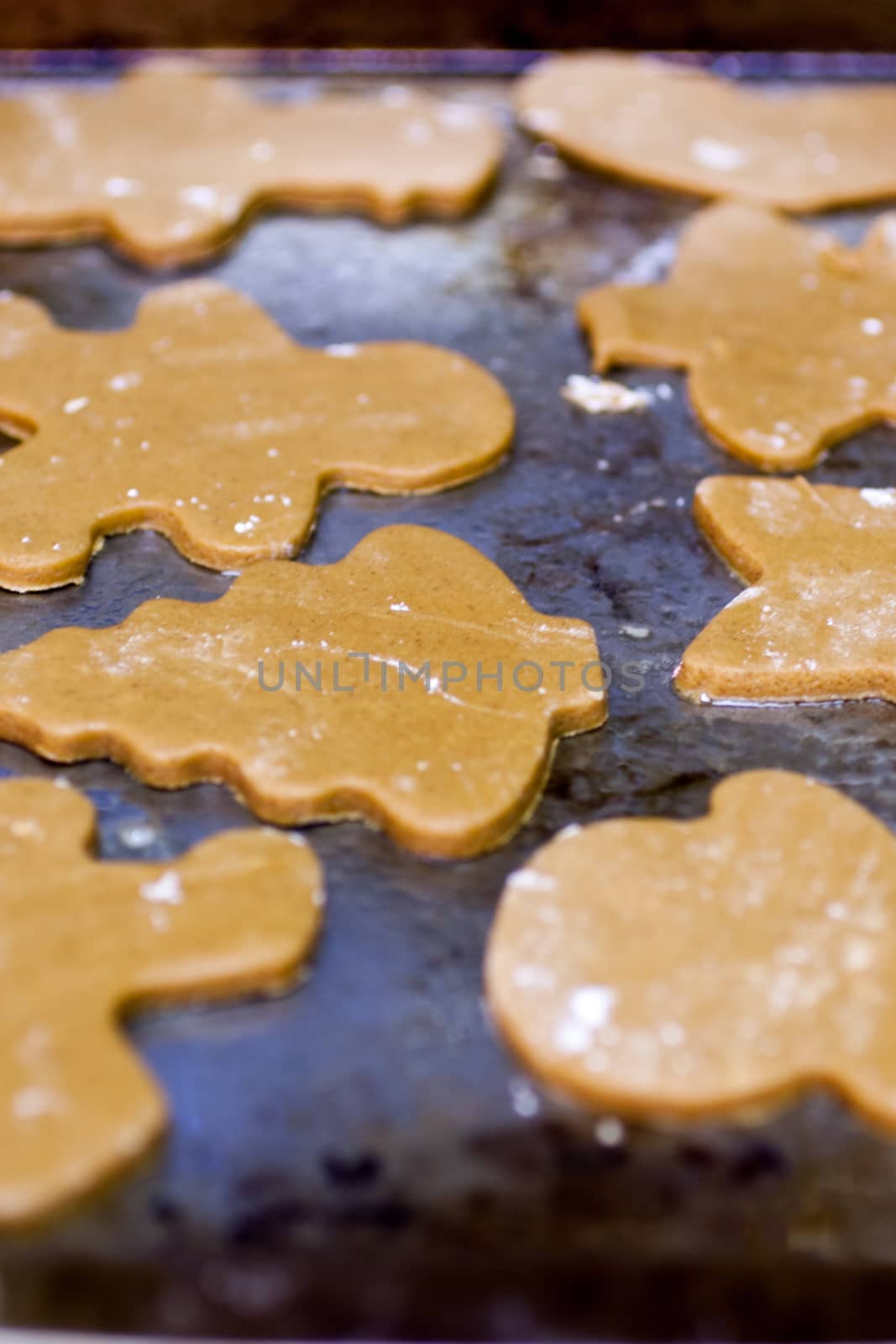 Unbaked gingerbread cookies on a metal pan waiting to go into the oven.