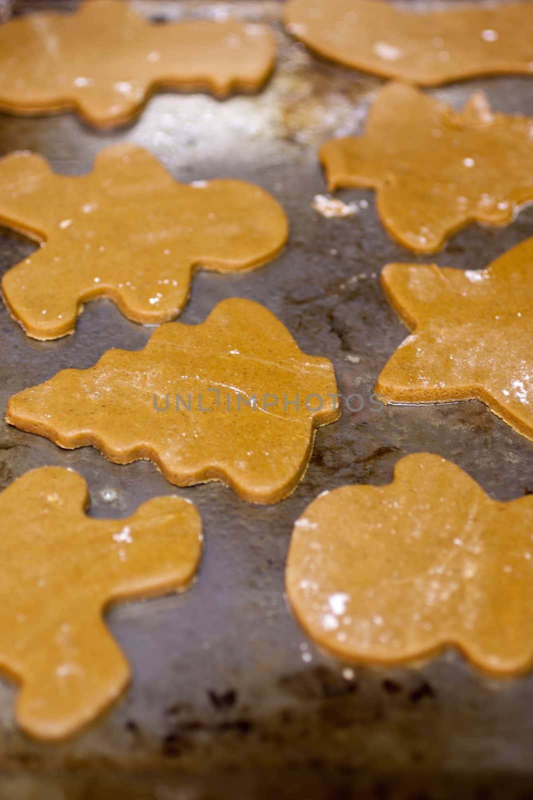 Unbaked Gingerbread Cookies by SouthernLightStudios