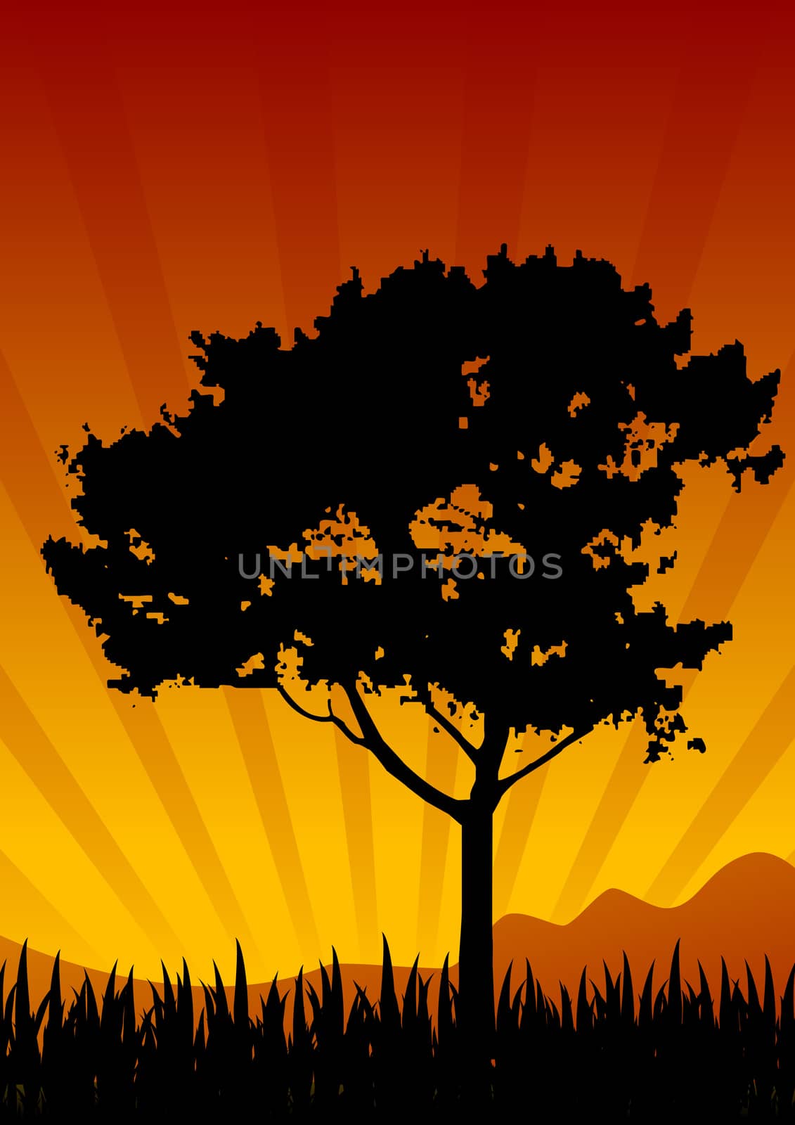 amazing natural sunset landscape with tree silhouette, vector illustration