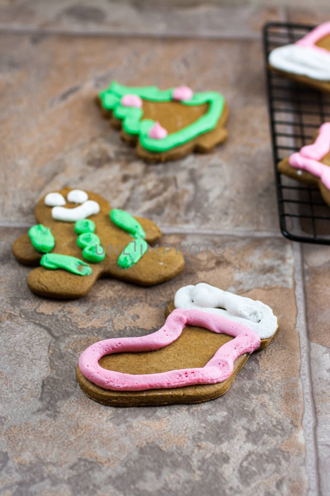 Gingerbread Christmas Cookies by SouthernLightStudios