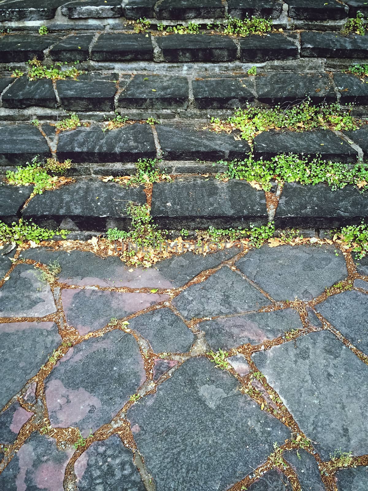 Mossy stone steps in the old town.