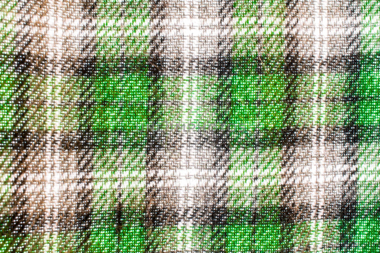texture,print and wale of fabric green pattern in beautiful fabric green pattern close-up