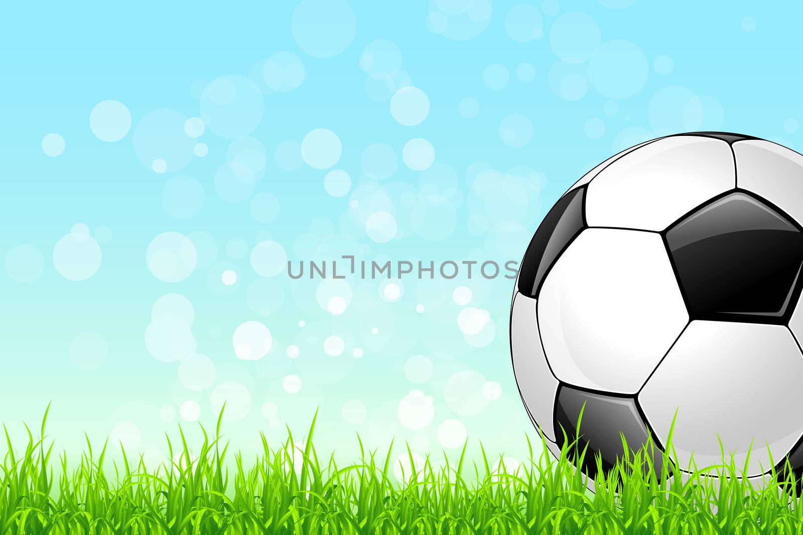 Soccer Ball on Green Grass and Blue Sky Background