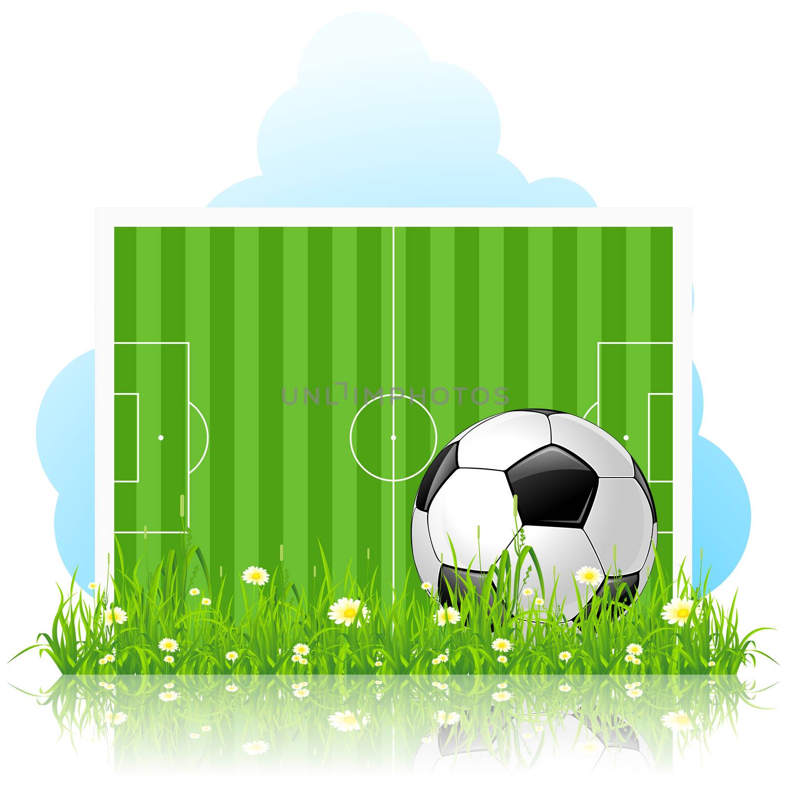 Soccer Ball on Green Grass by WaD