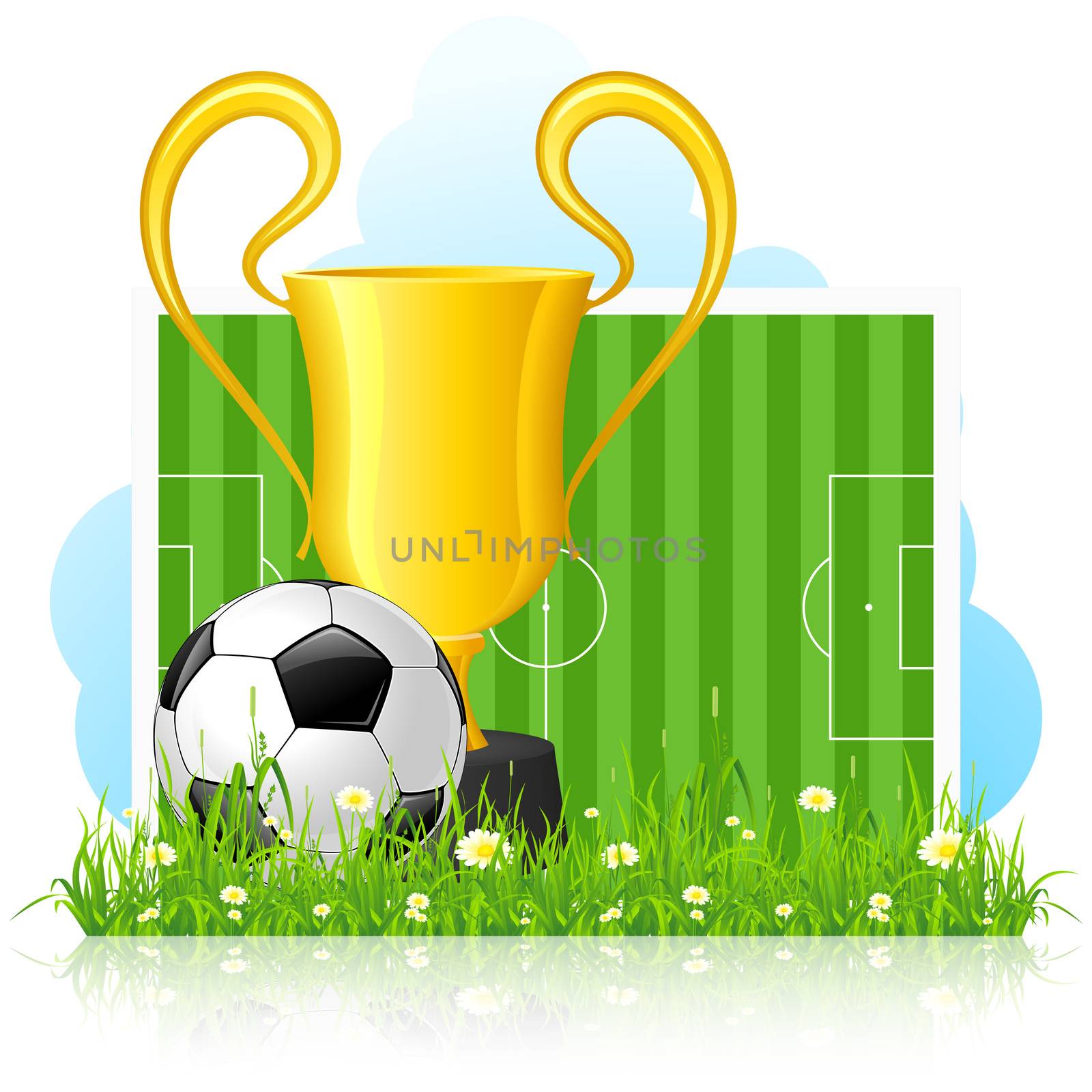 Soccer Ball with Trophy on Green Grass by WaD