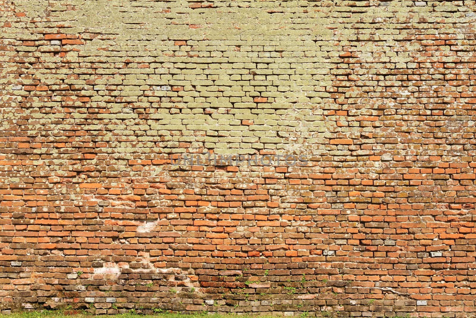 texture of brick wall full of moss by taviphoto