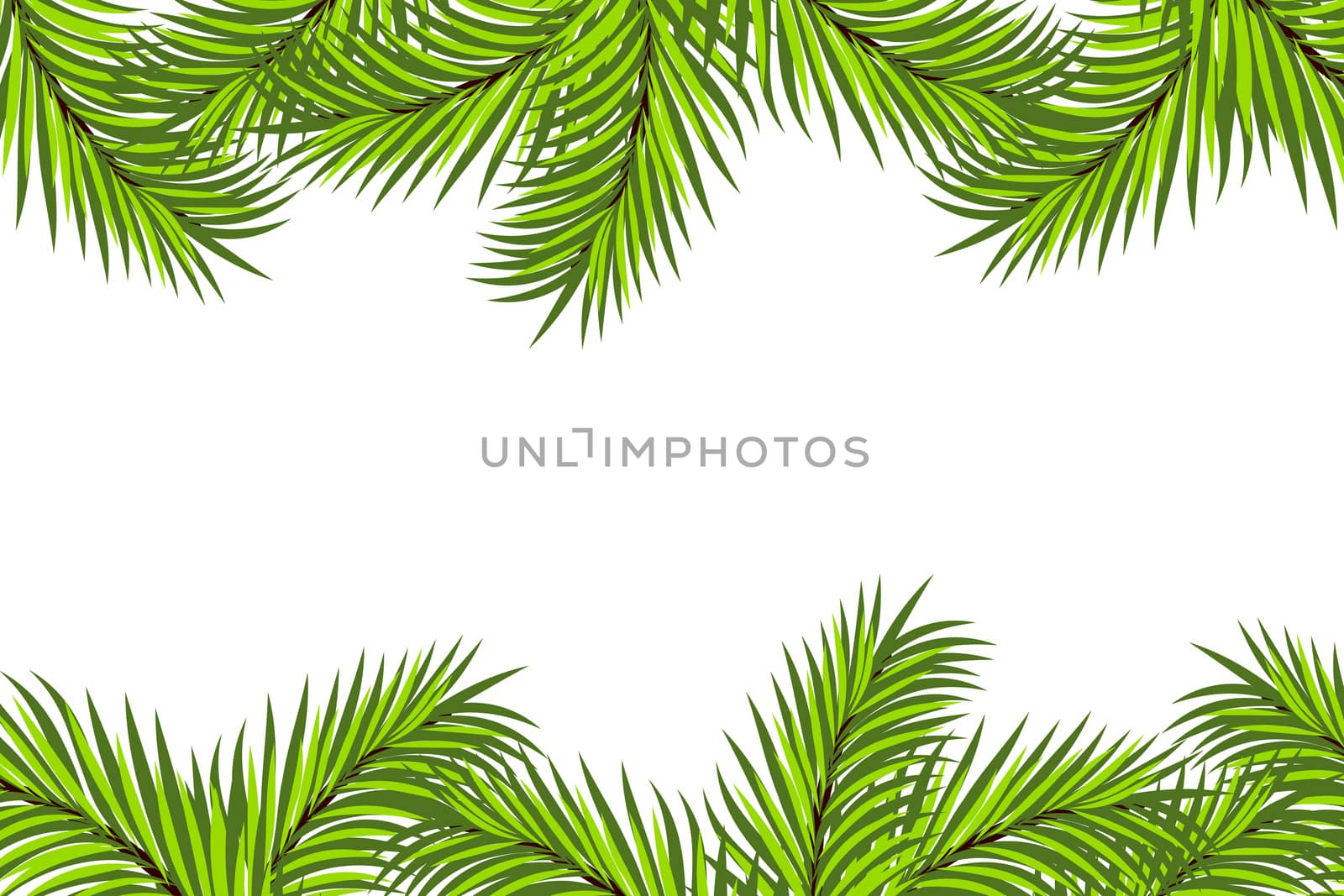Fir framing isolated on white background