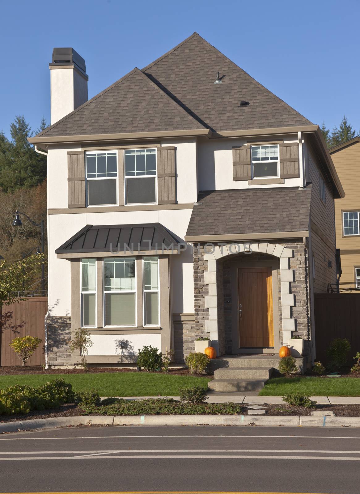 Family home new construction in Willsonville Oregon.