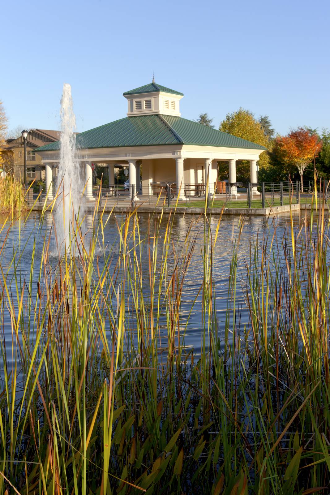 Public park in a Fall season pacific northwest.