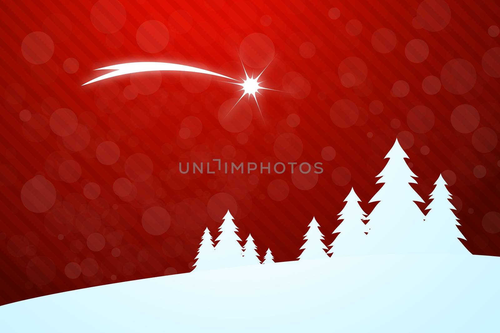 Christmas Greeting Card with Christmas Trees and falling Star