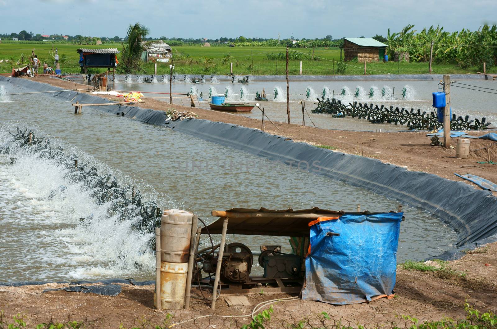 Shrimp hatching pond under cloudy sky at Mekong Delta, Vietnam, engine rotate to make O2 for shrimp, shrimp lake among Viet Nam countryside