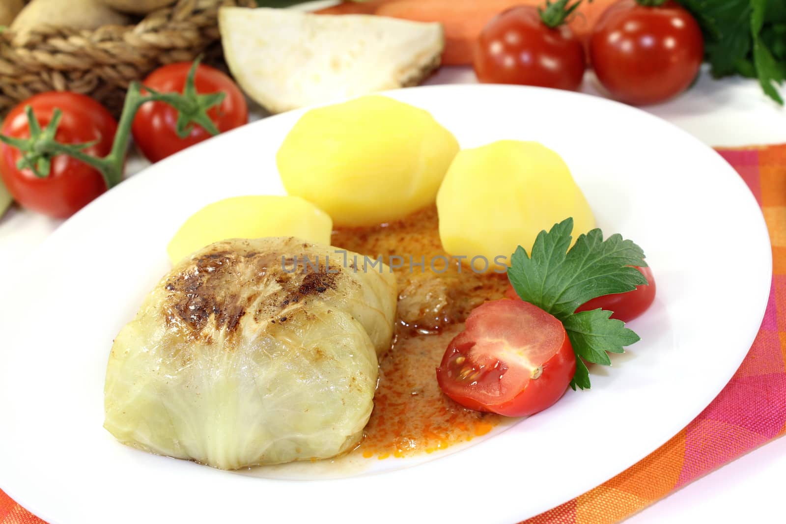 Stuffed cabbage with potatoes and gravy on a light background