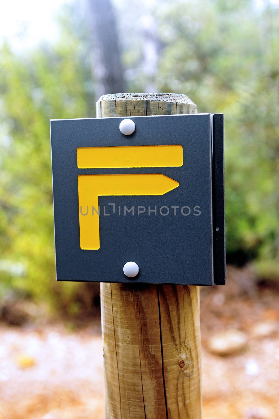 Sign indicating the direction to follow a trail for hikers