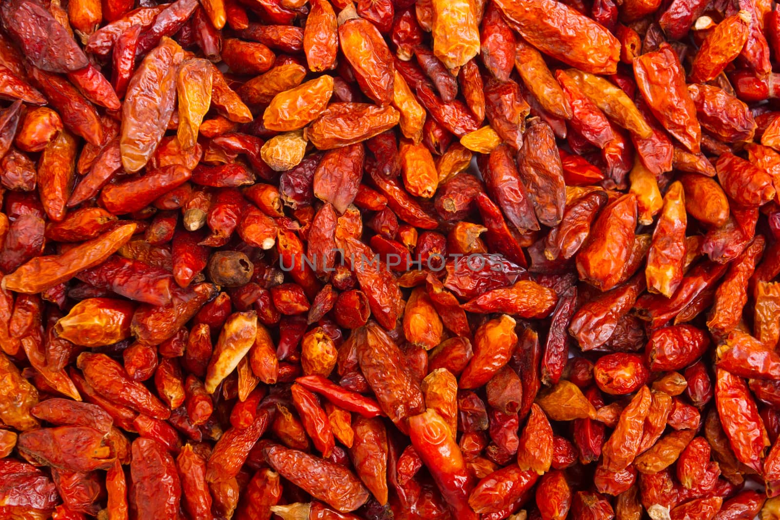 Dried red hot chili Peppers.
