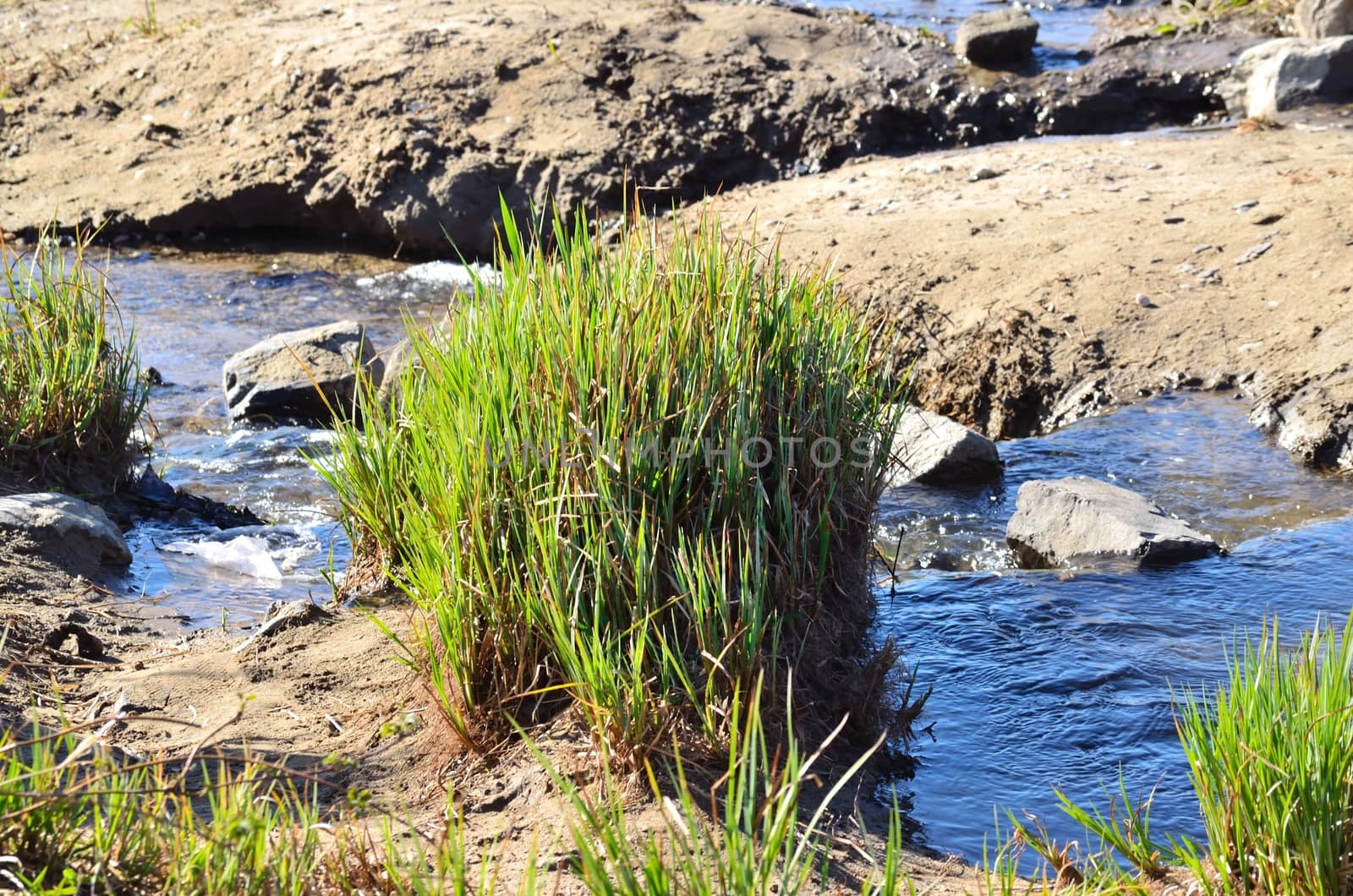 Sand, grass and creek by JFsPic