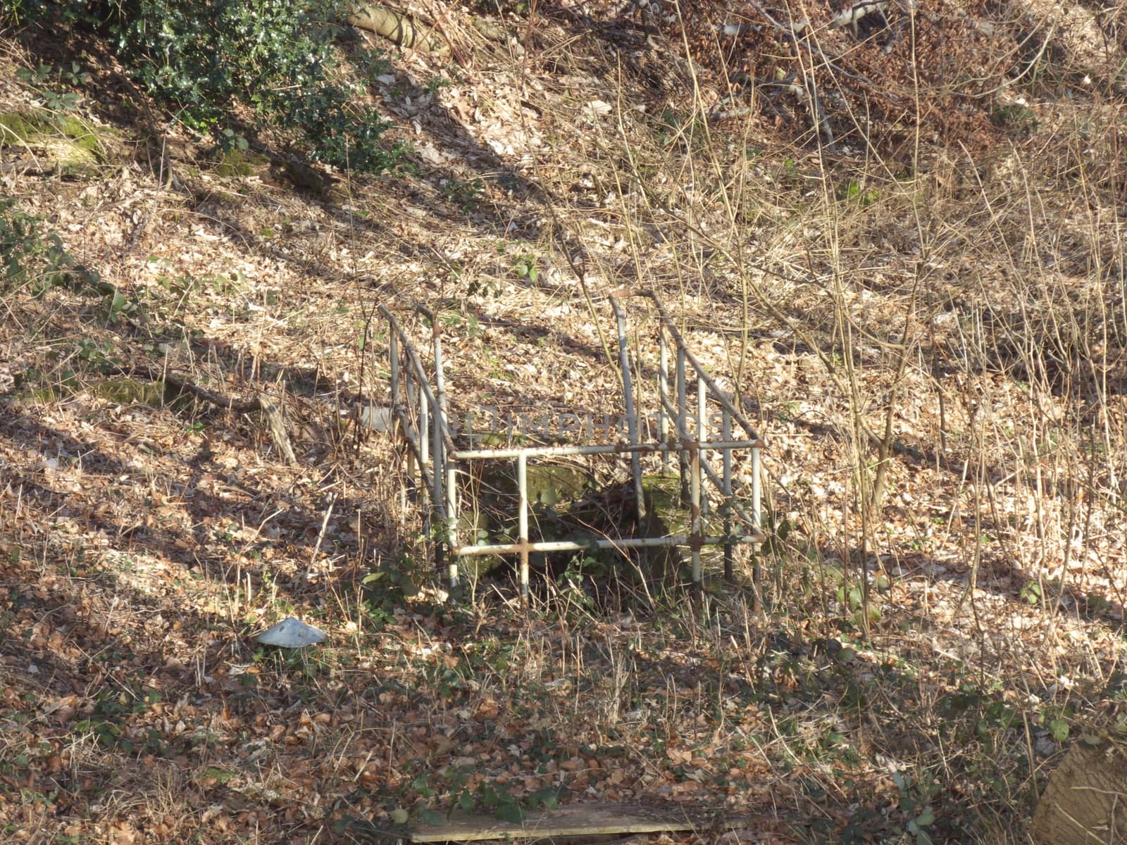 Forgotten stairs in the forest by JFsPic