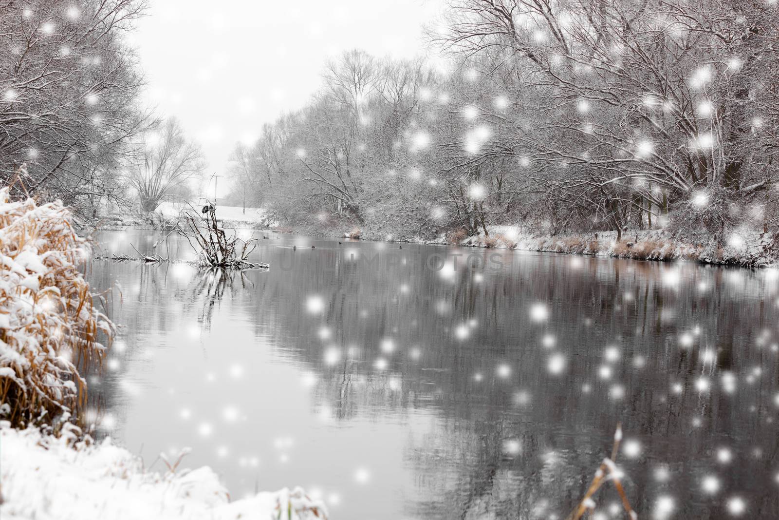 small river in winter, with trees