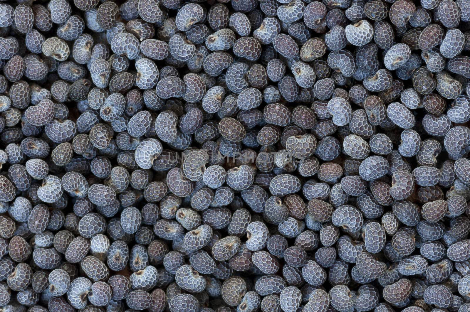 Background made of dried poppy seeds close up