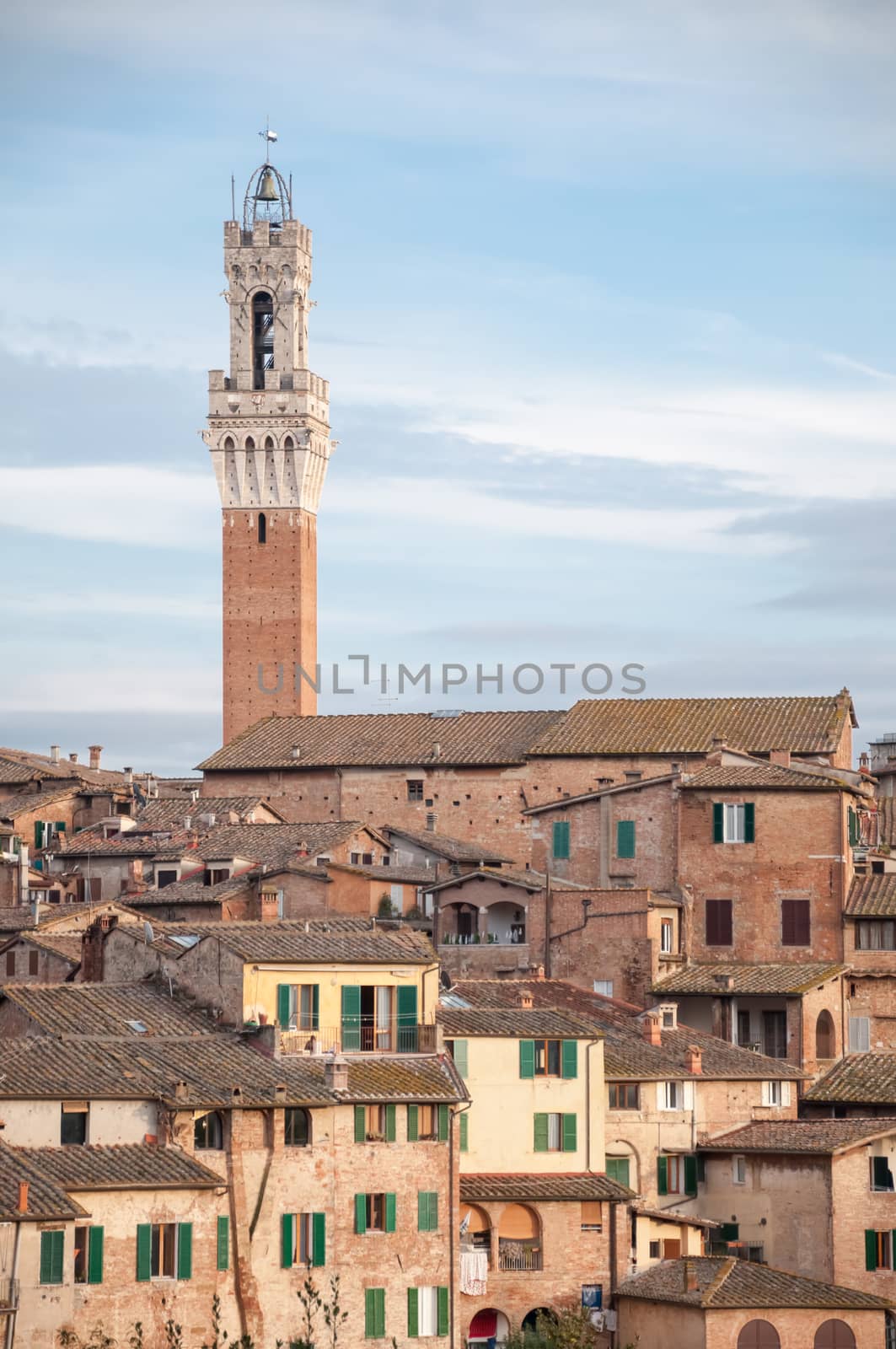 beautiful landscape of Siena with Tower of Mangia, Tuscany, Italy