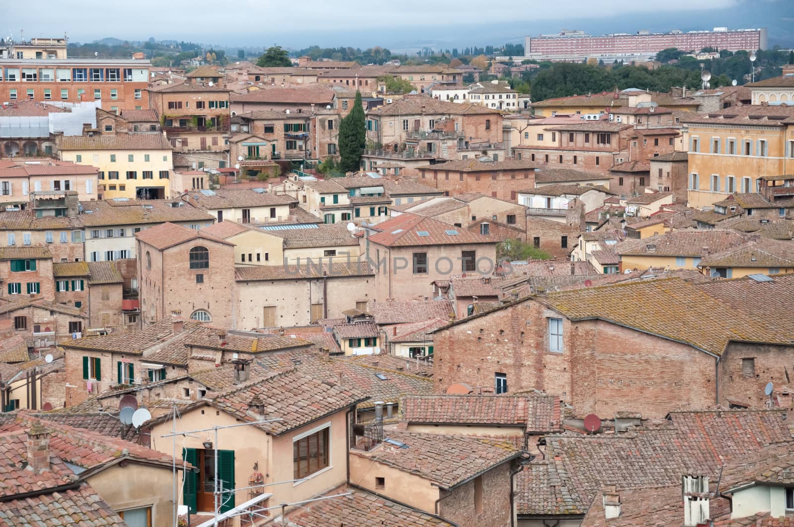 house in Siena in a beautiful landscape in november: Tuscany, Italy,