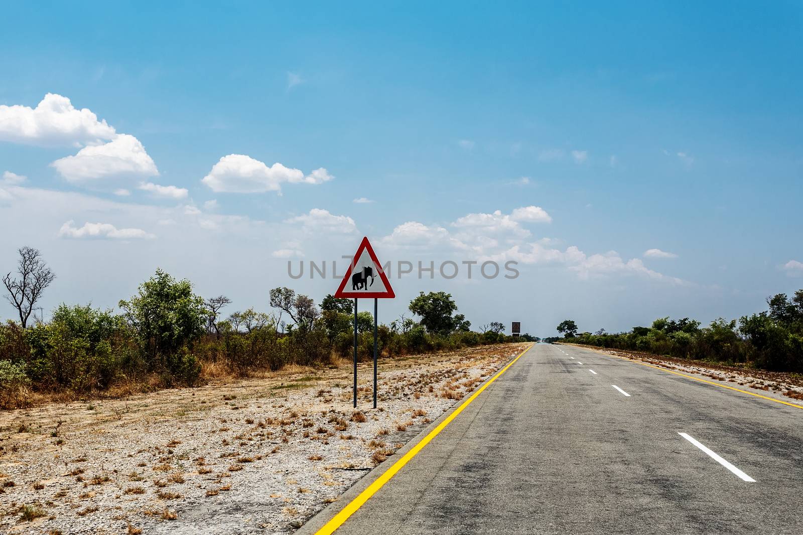 Endless road with blue sky and sign elephants crossing in Namibia, Caprivi Game Park, with blue sky