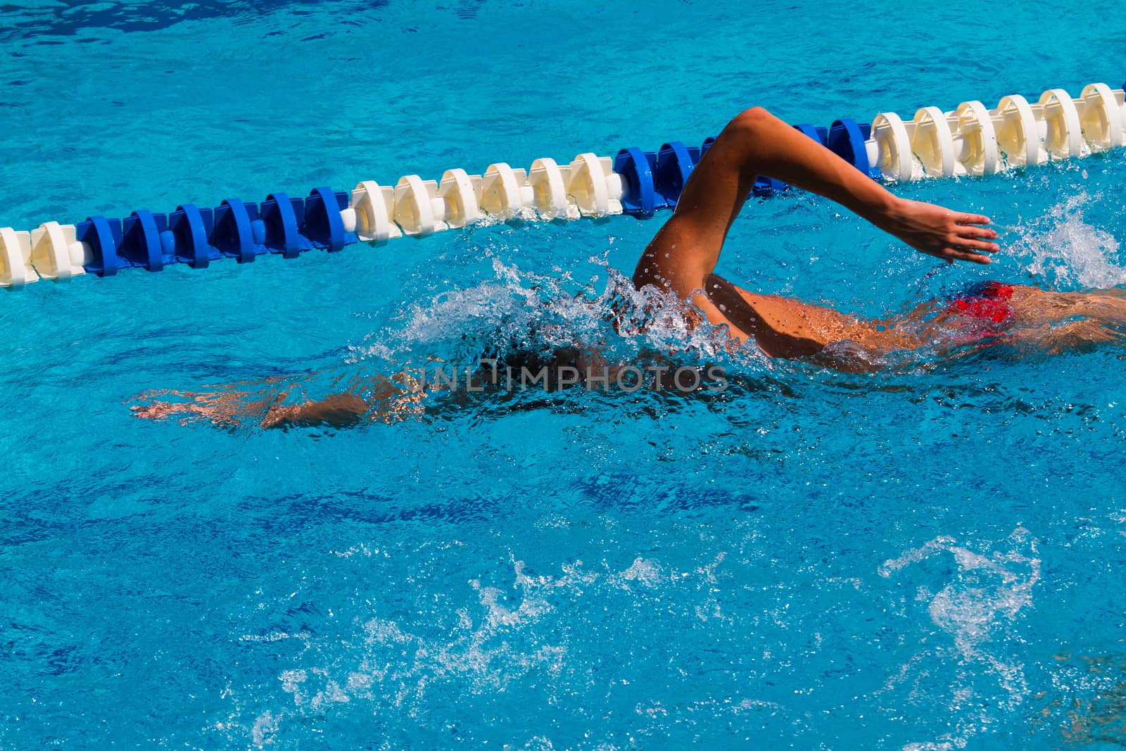 Professional swimmer in the pool - Stock Image