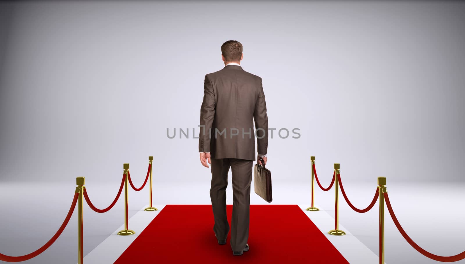 Businessman in suit holding briefcase and go forward on red carpet. Rear view by cherezoff