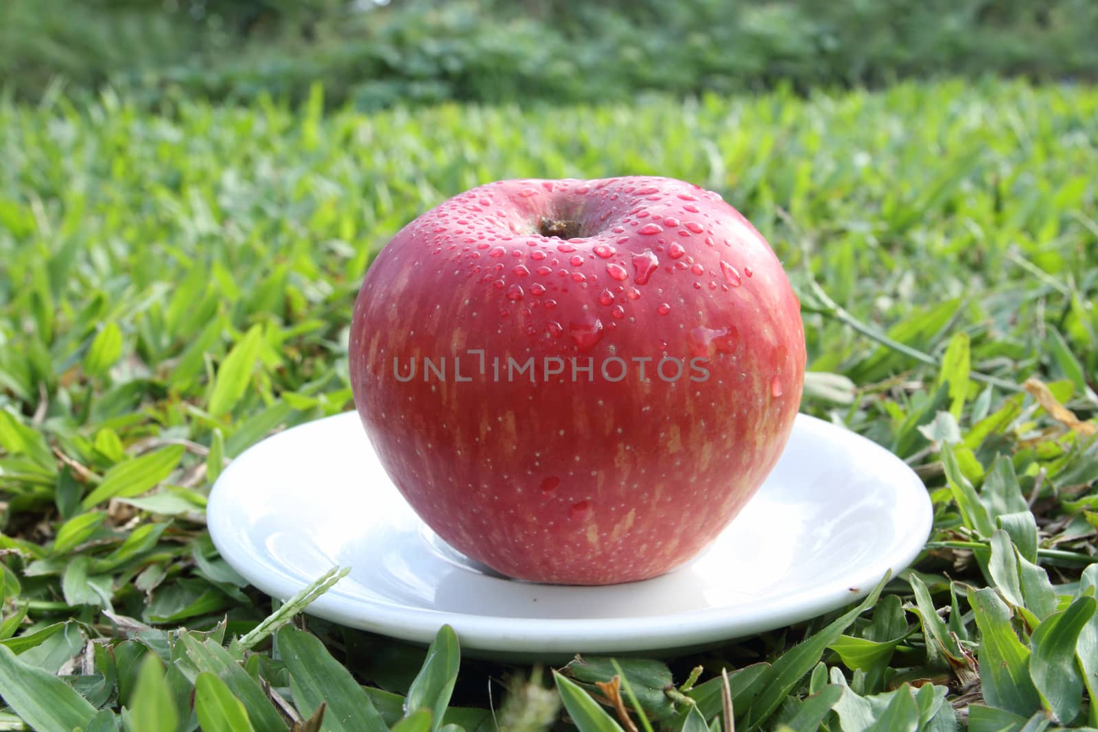 red apple on the white dish.