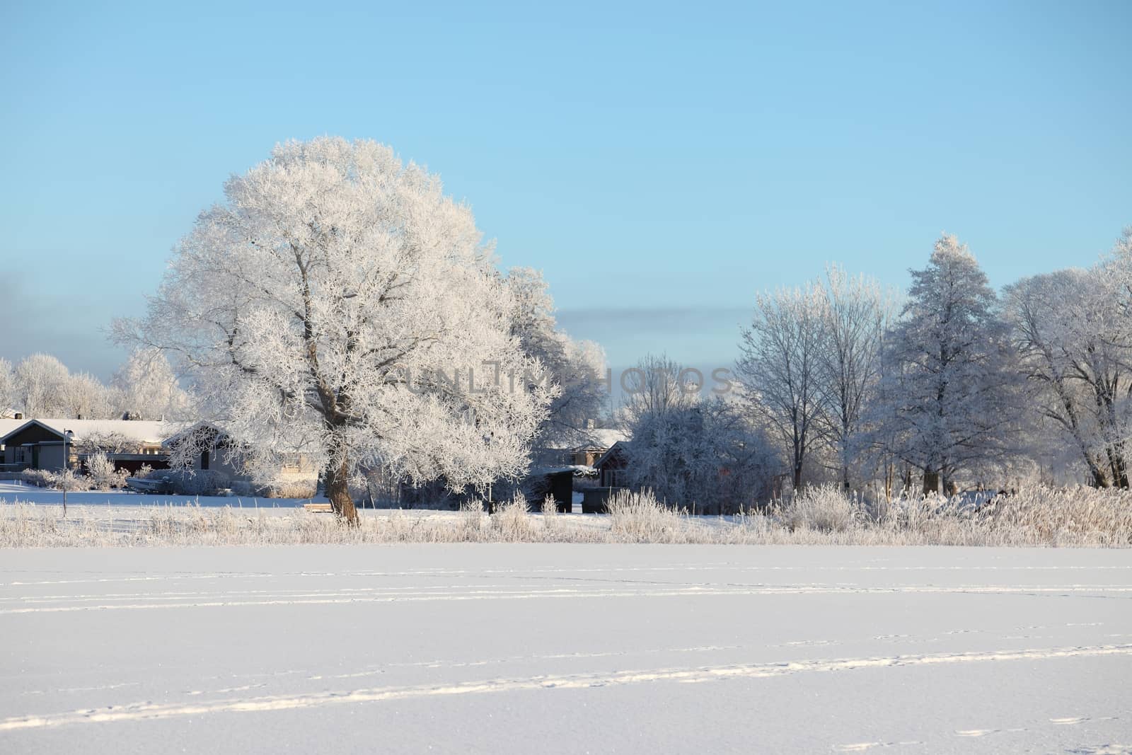 Winter landscape with frozen lake