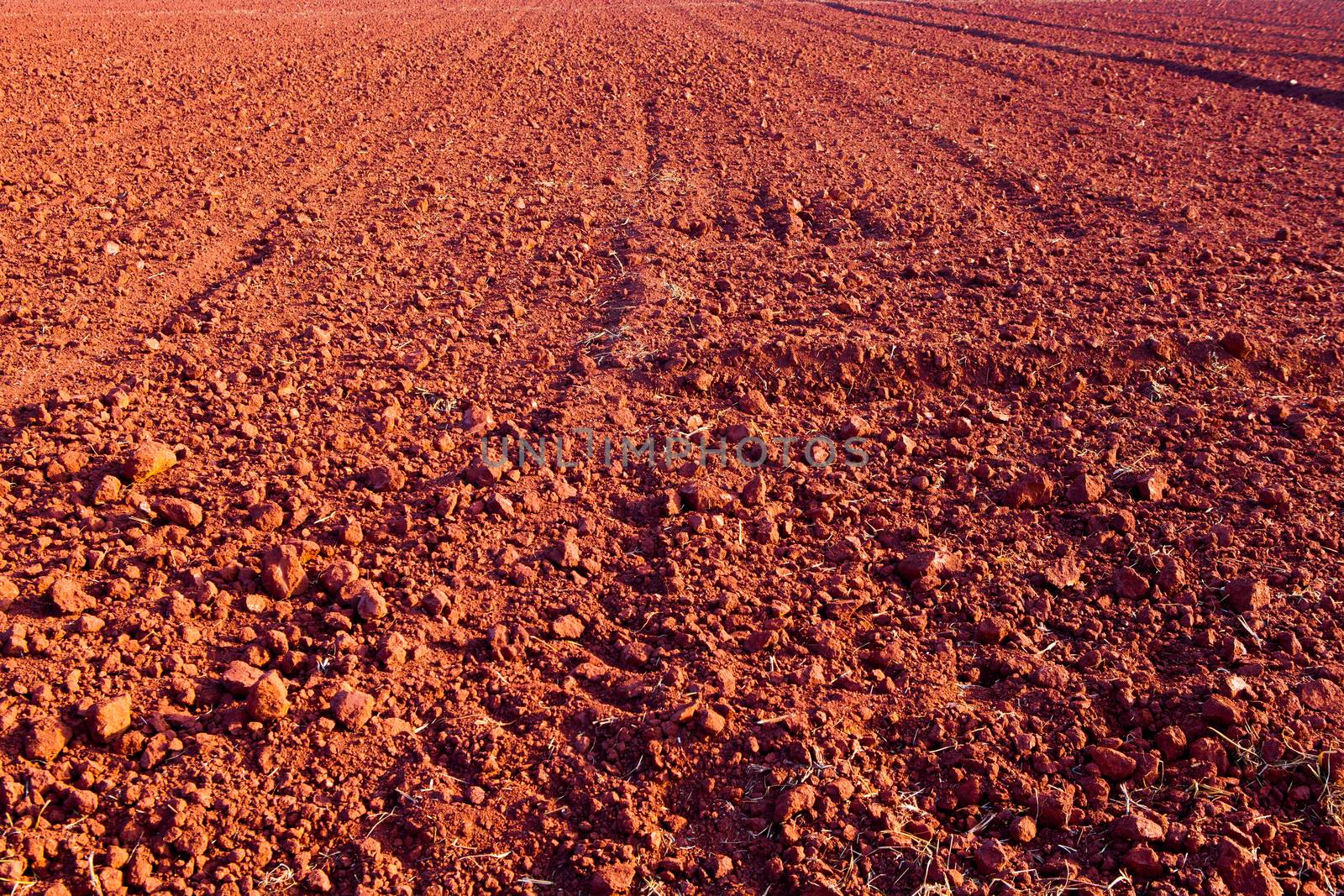  Laterite Soil texture by jee1999