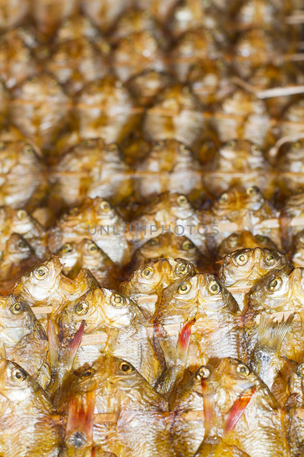 Fish products on display, the largest wholesale fish market. Vang Vieng, Laos