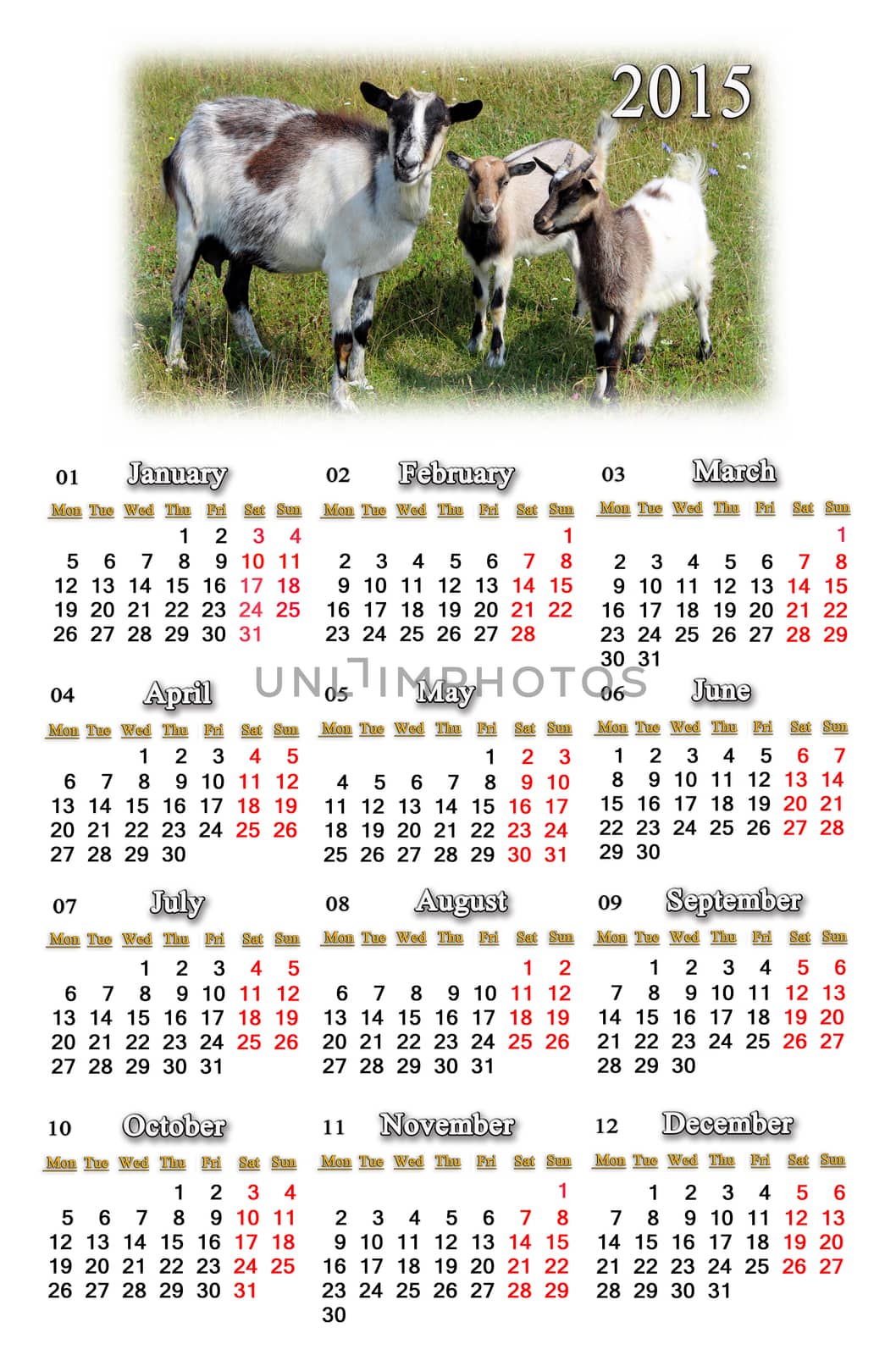 calendar for 2015 year with goats by alexmak
