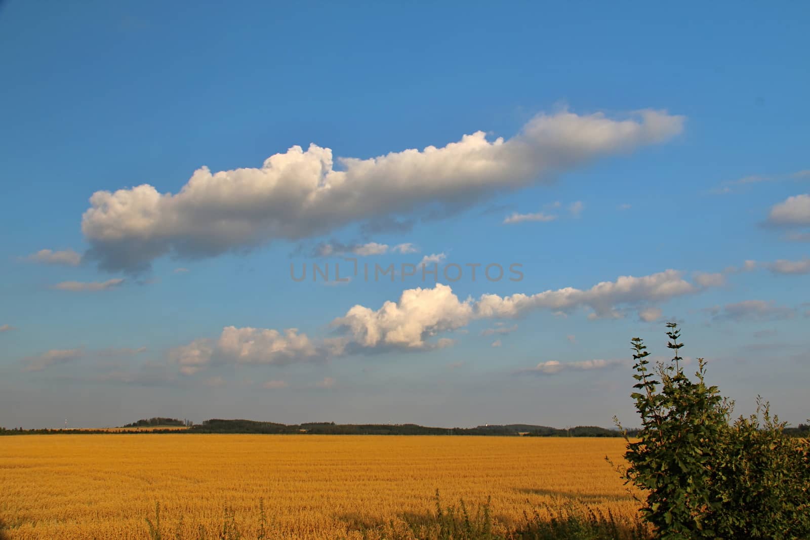 Countryside view by Dermot68