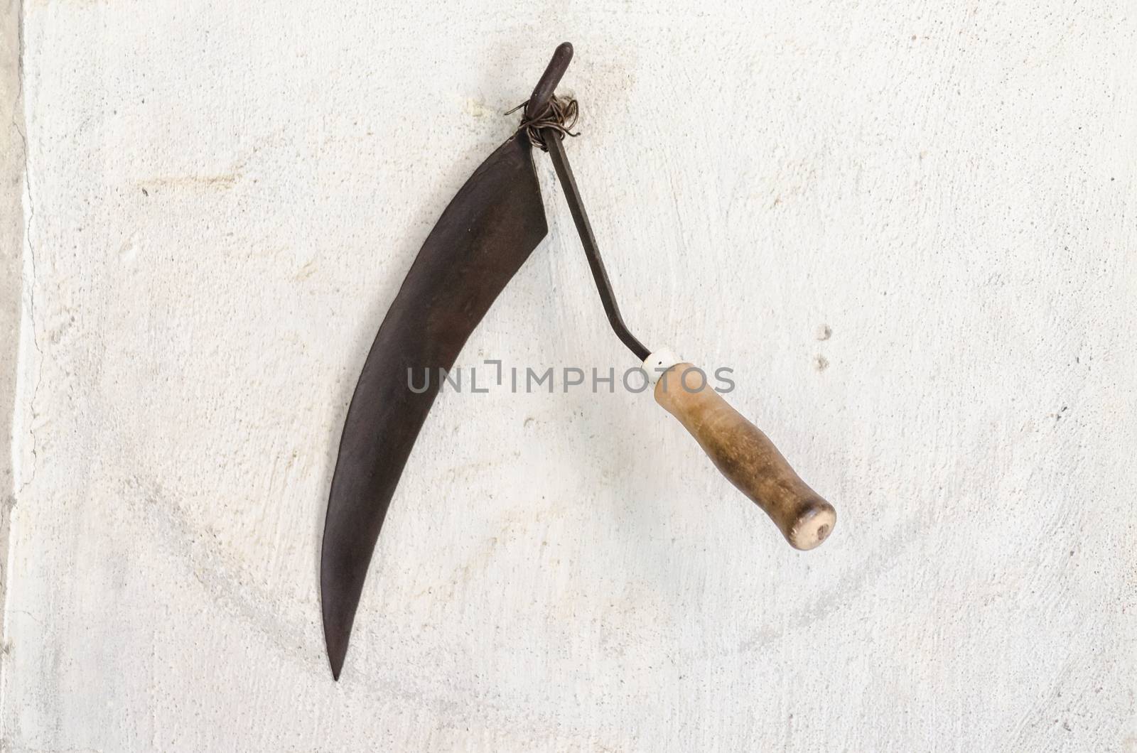 Old rusty sickle to cut grain on white background.