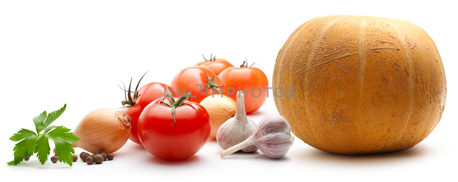 Vegetables on the white background