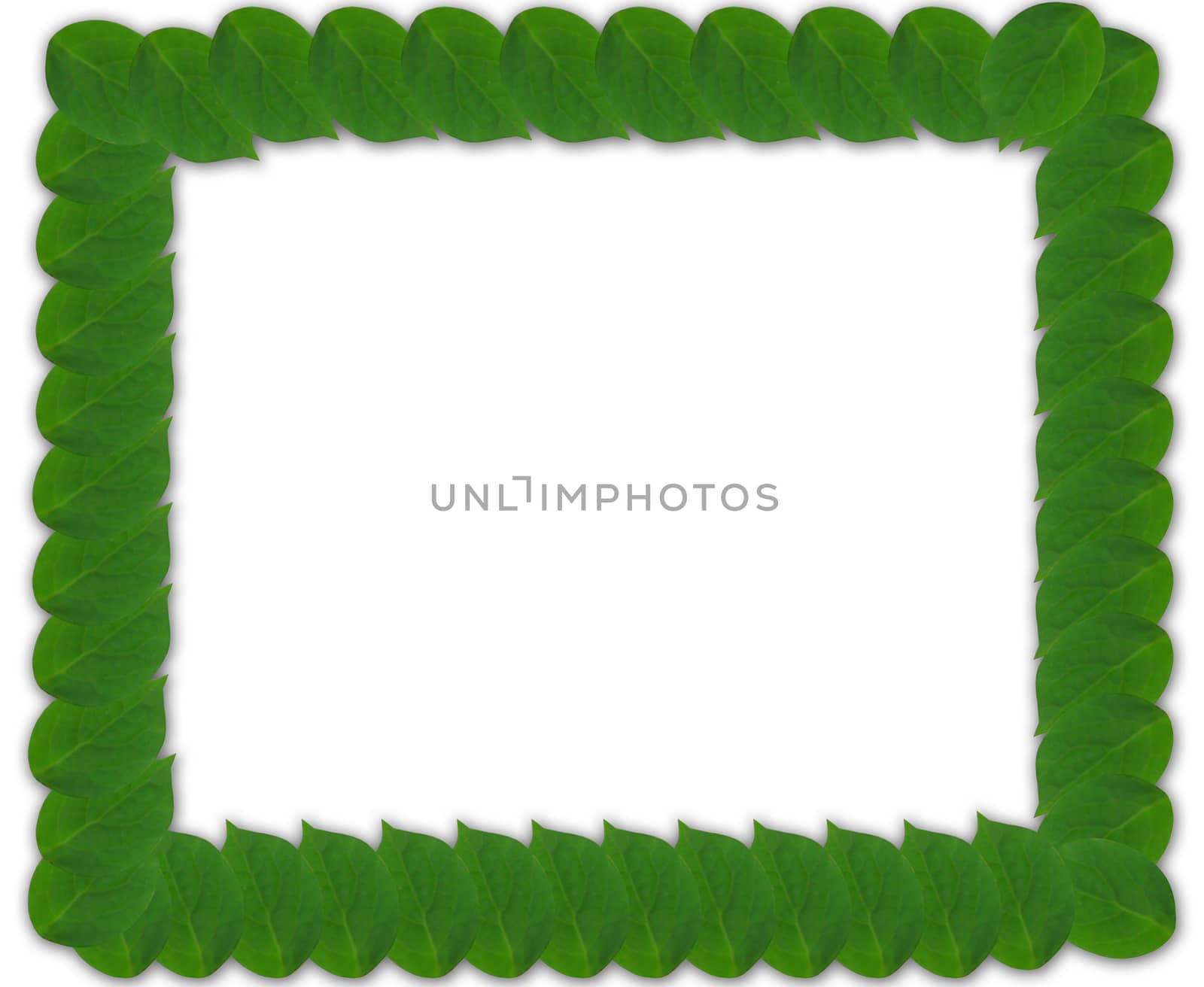 Green square frame from leaves by alexmak