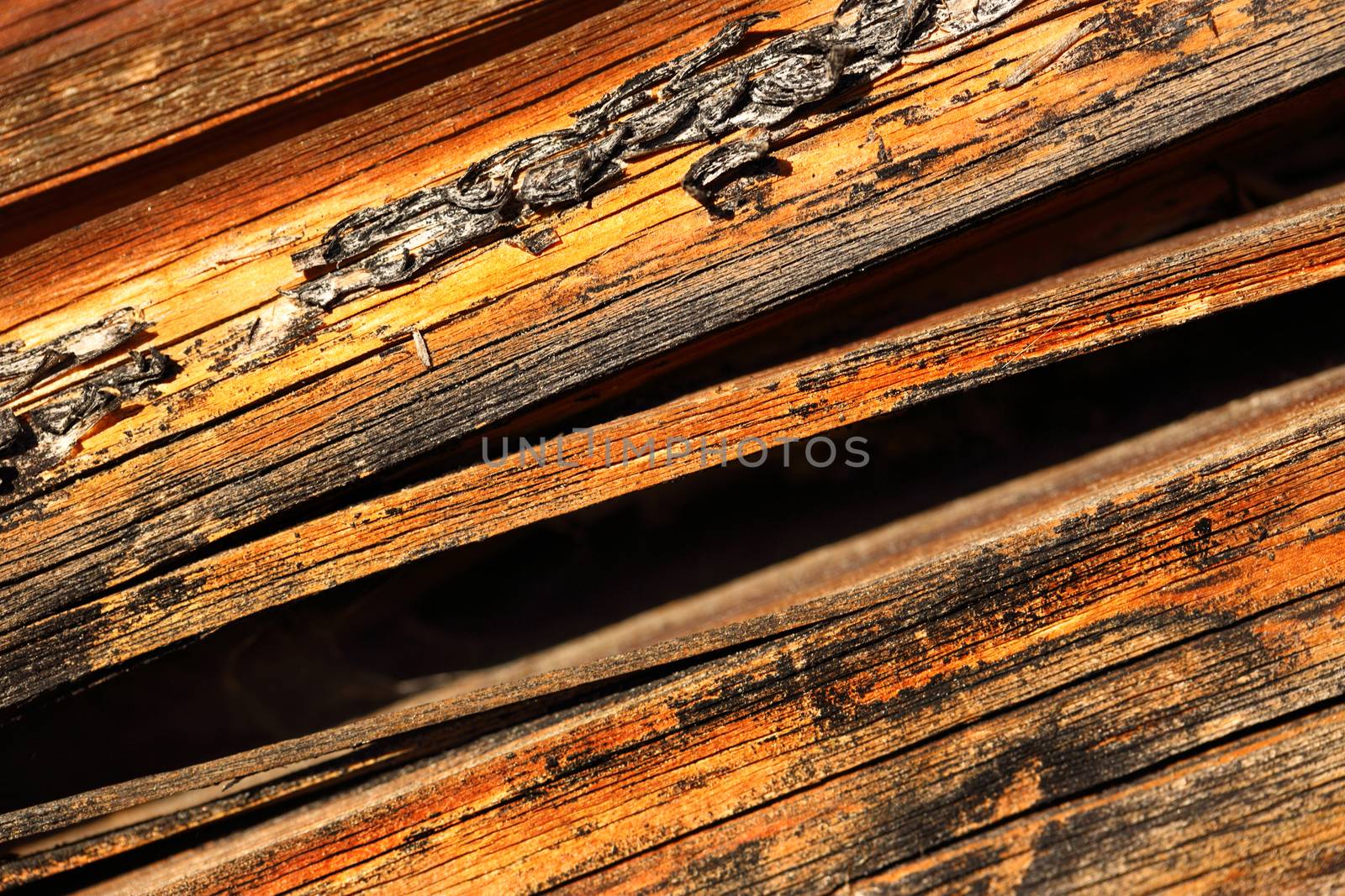 Wooden cracked textured material background