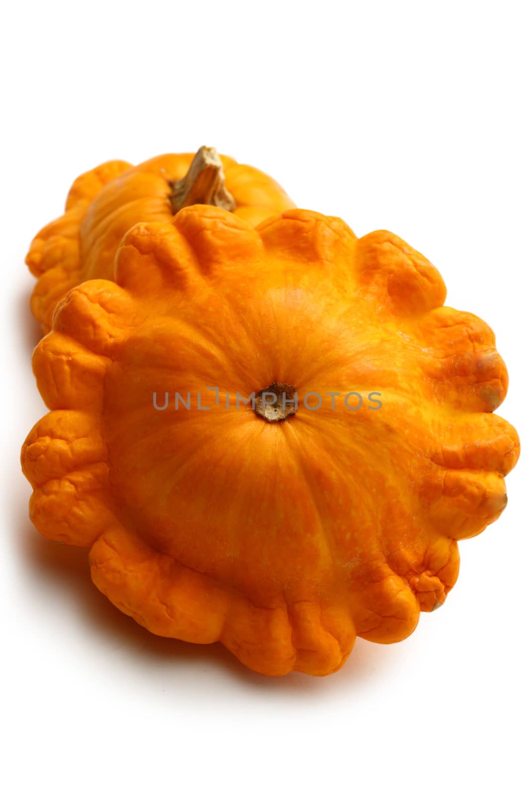 Yellow gourds on white background