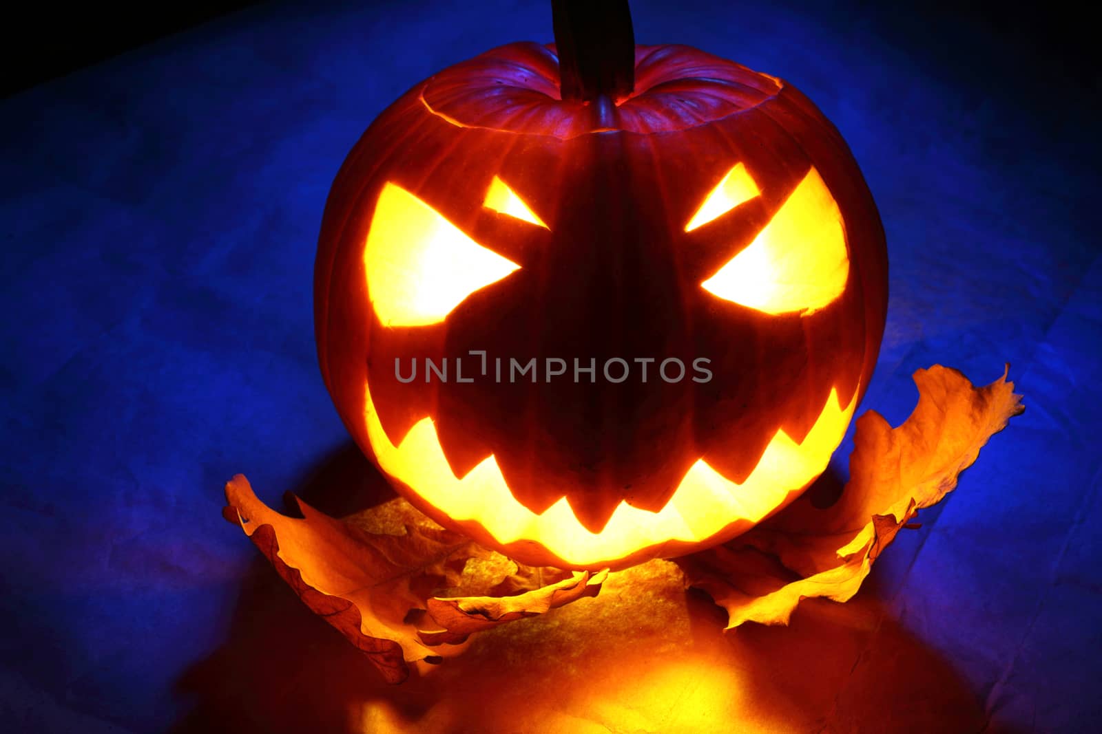 Angry halloween pumpkin with oak leaves
