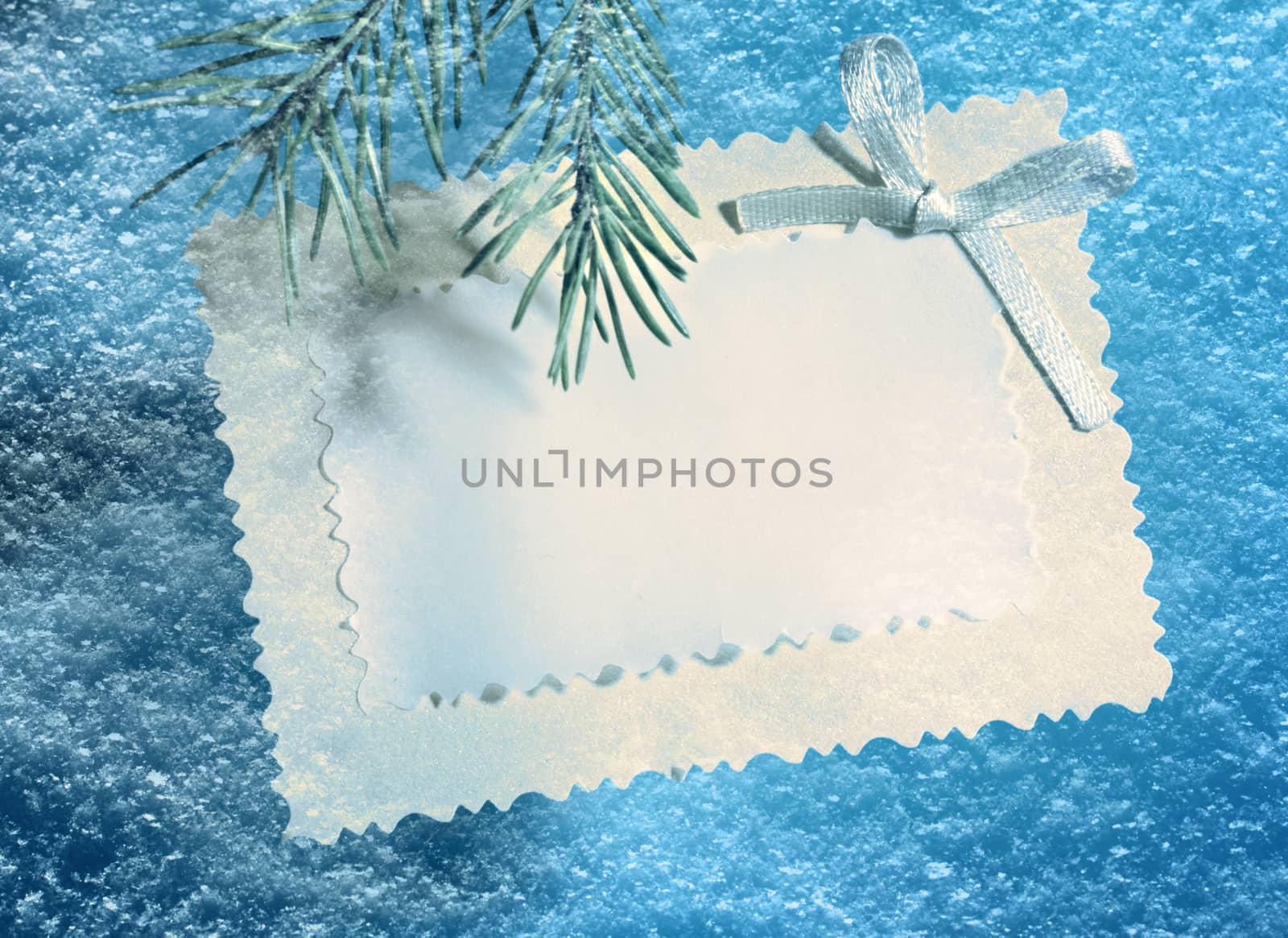 Greeting card with fir on snow