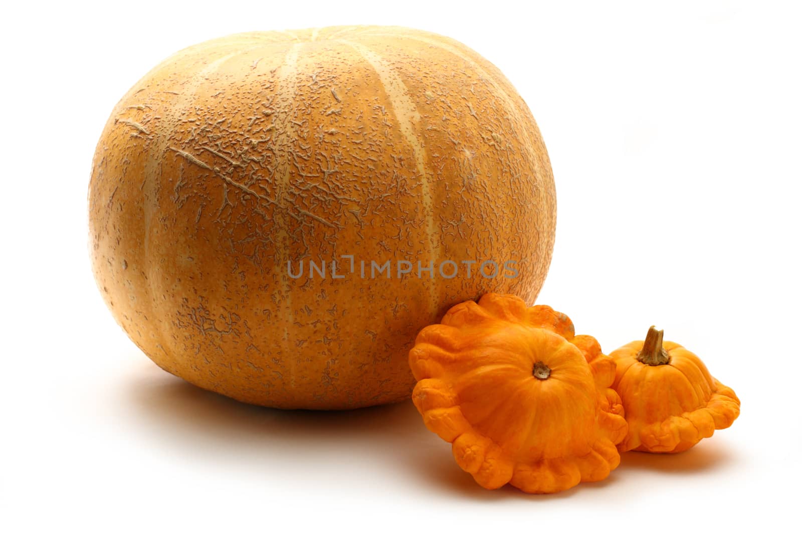 Yellow gourds on white background