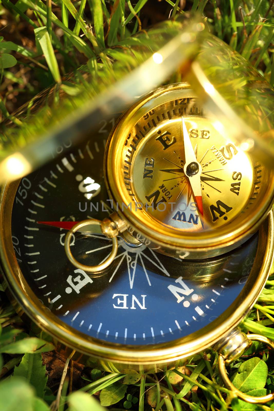 Two golden compasses on green grass by Garsya