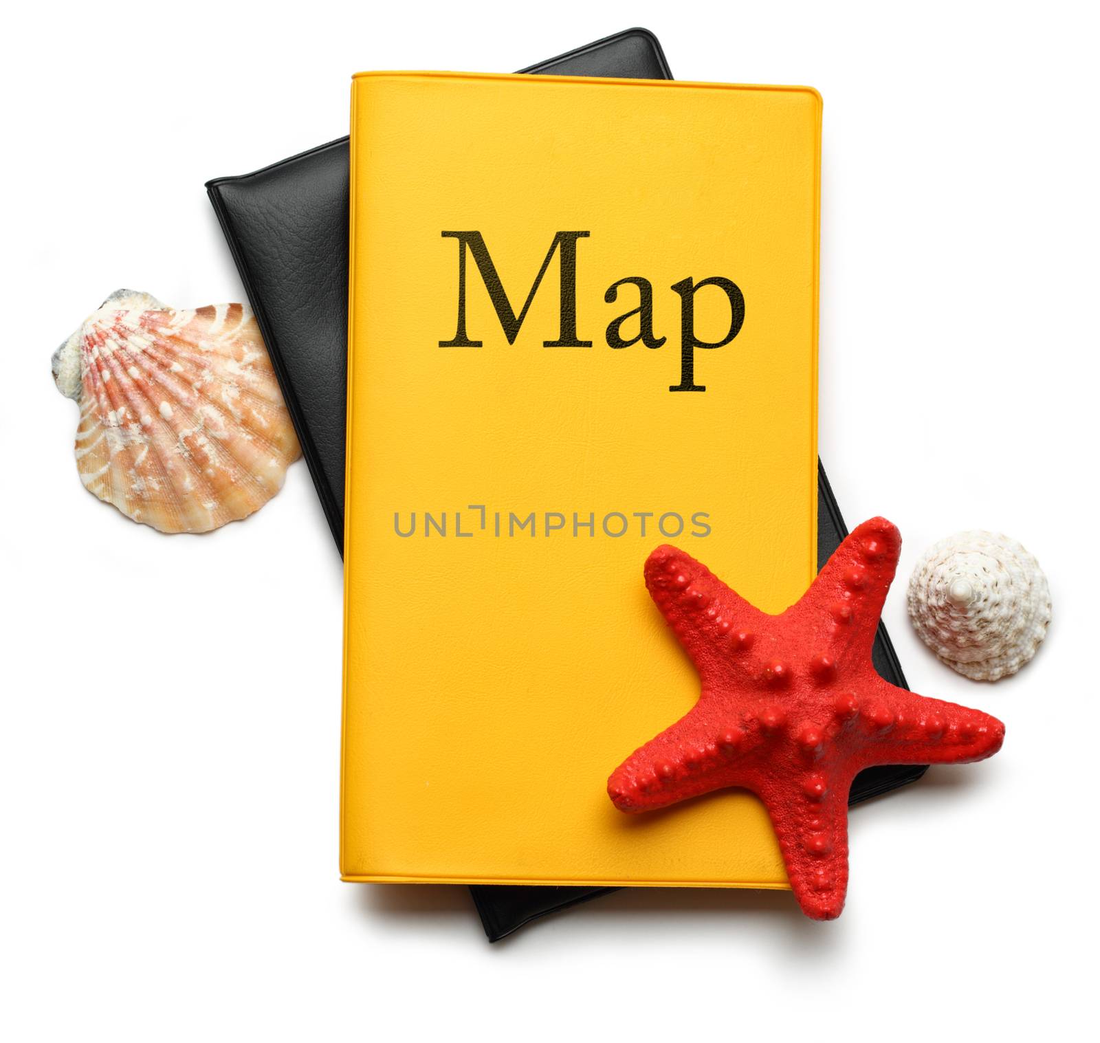 Seastar and seashells on map