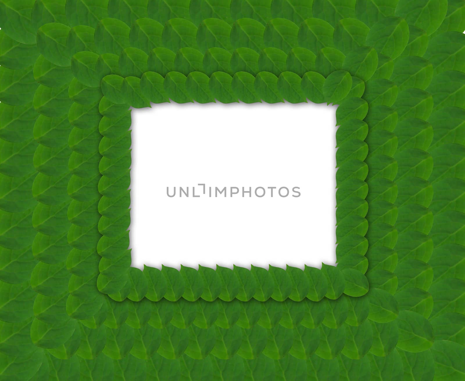 Pattern from green abstract square frame from leaves