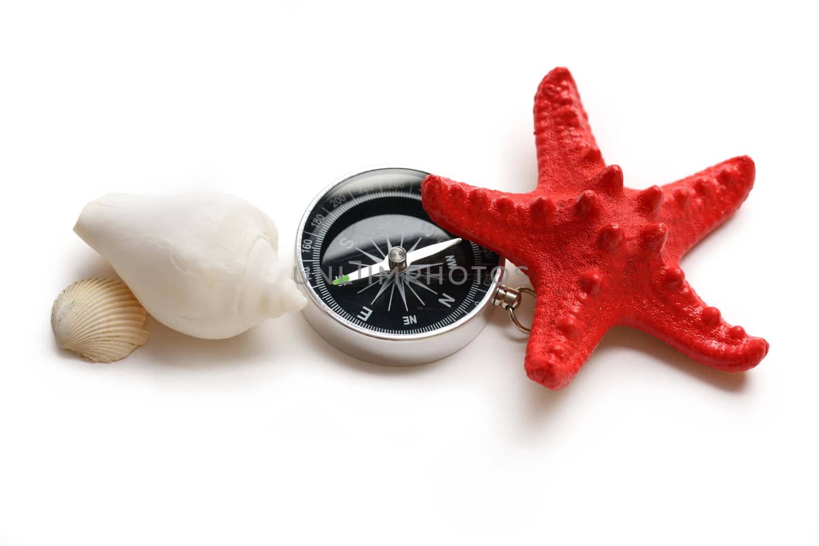 Compass, seastar and seashells on white