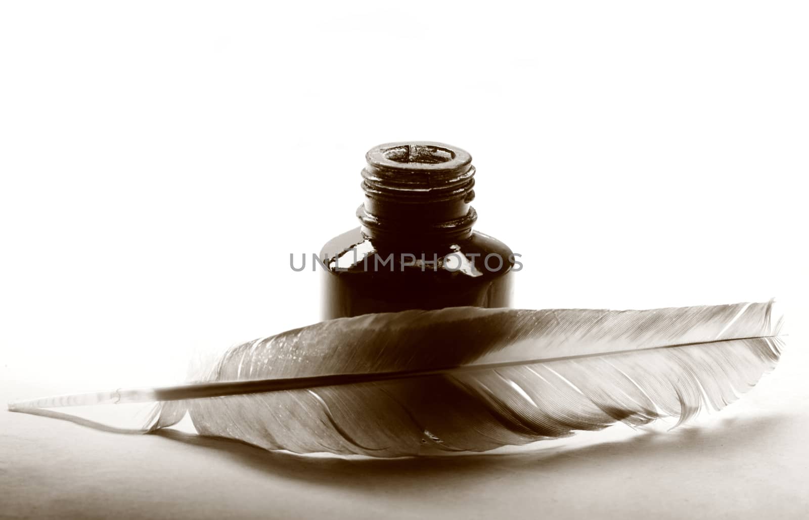 Feather with the bottle full of ink 