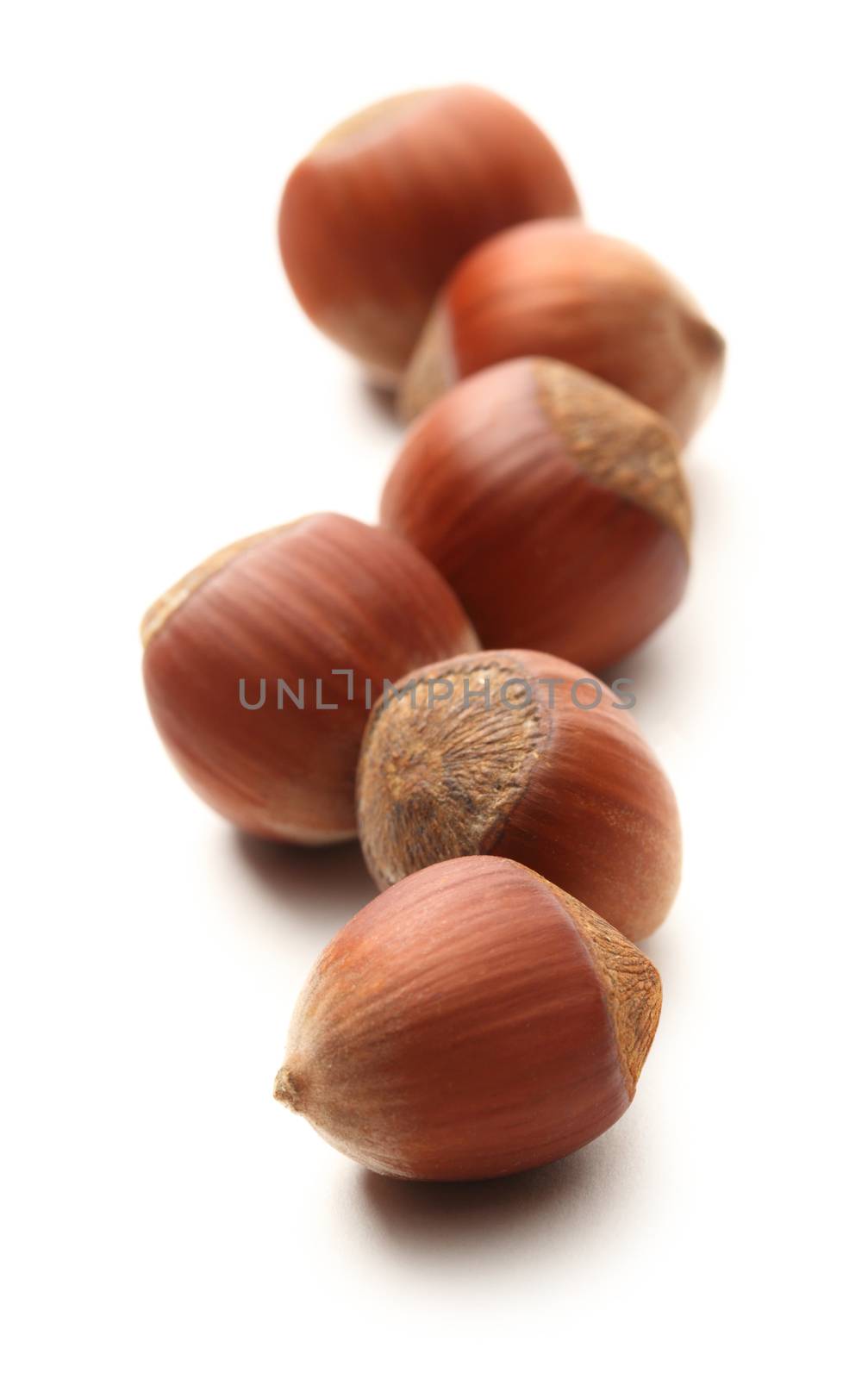 Fresh hazelnuts on white background